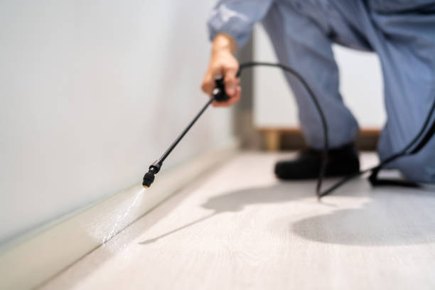 Bed Bug Pre-Treatment Preparation Assessment in Parkwood