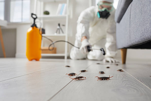 Post-Treatment Bed Bug Interceptor Monitoring in Parkwood