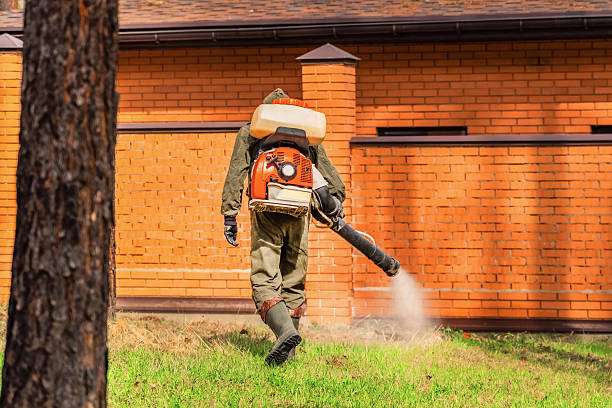 Bed Bug Clearance Verification and Documentation in Parkwood